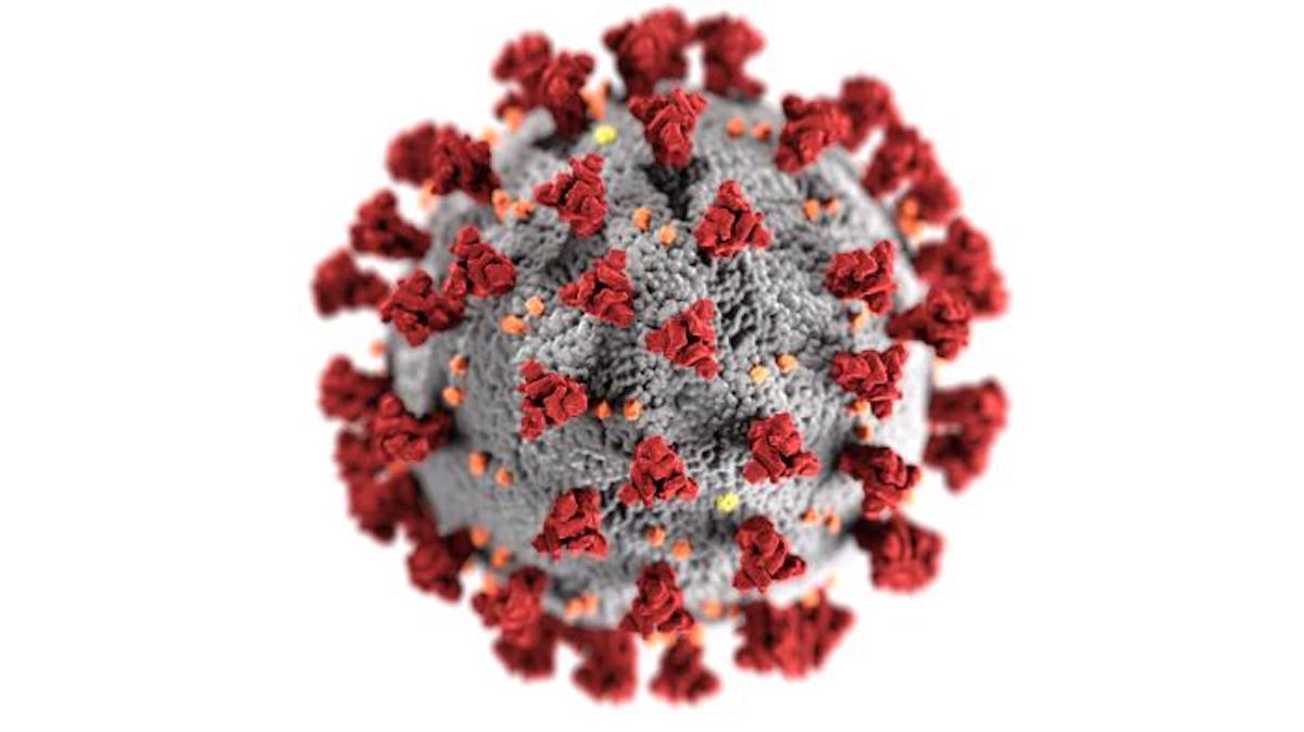 A CDC illustration of SARS-CoV-2 the new coronavirus that causes COVID-19. (CDC)