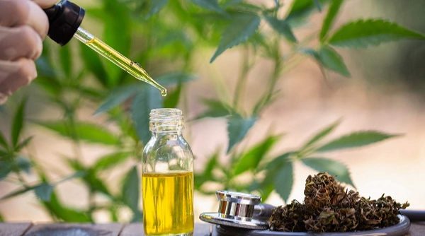 Global Cannabidiol Oil (CBD Oil) Market estimated to grow ...