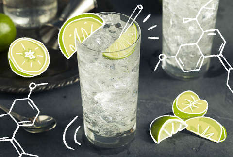 gin and tonic