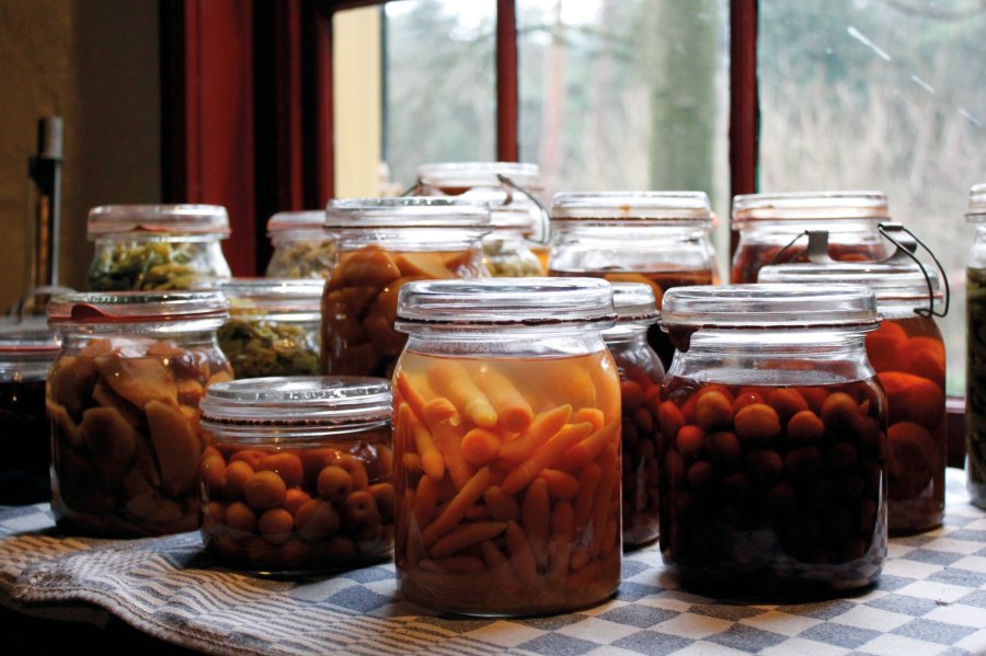 Fruits and vegetables sit fermenting in jars. Tinekex3, Flickr