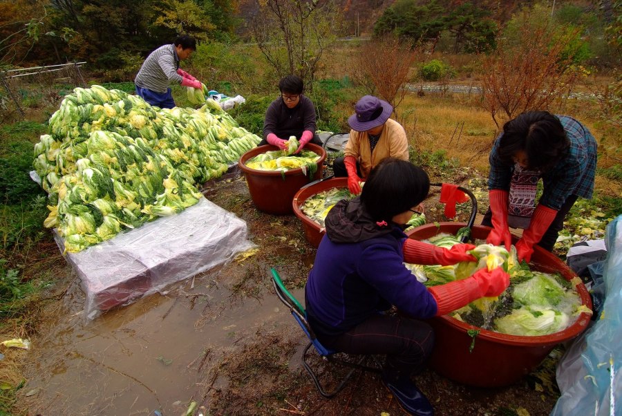 Gimjang, the traditional practice of making kimchi, is listed as a UNESCO Intangible Cultural Heritage. wsyelake, Flickr