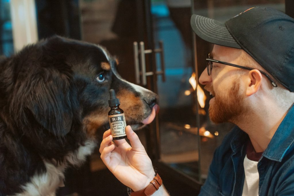 CBD Oil Dosage - Pets