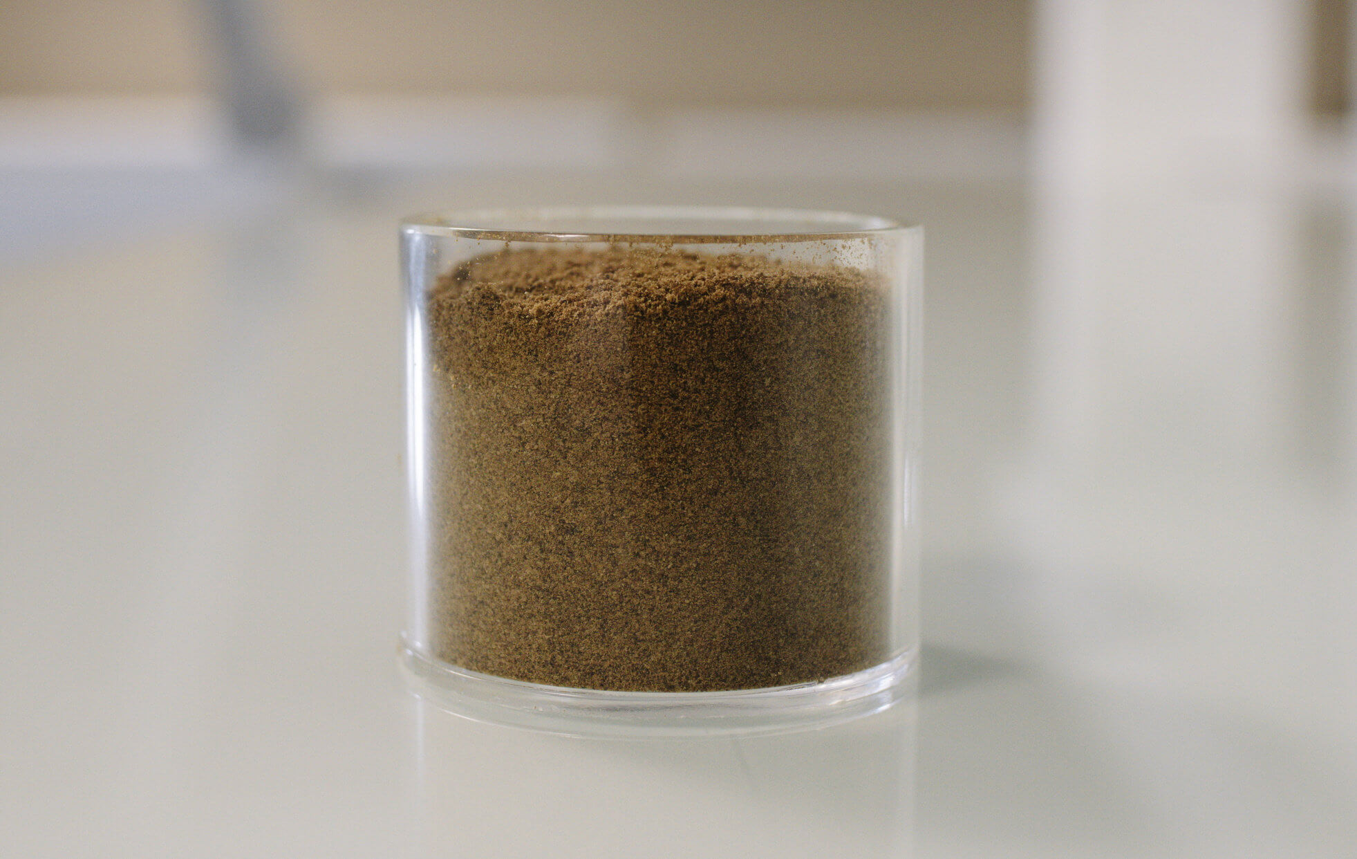 ground mealworm powder