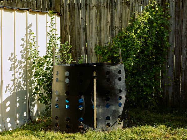 A black, cylindrical compost bin stands in the corner of a yard in front of a climbing plant and a fence.