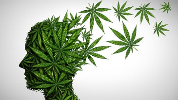 Marijuana and Mental Health